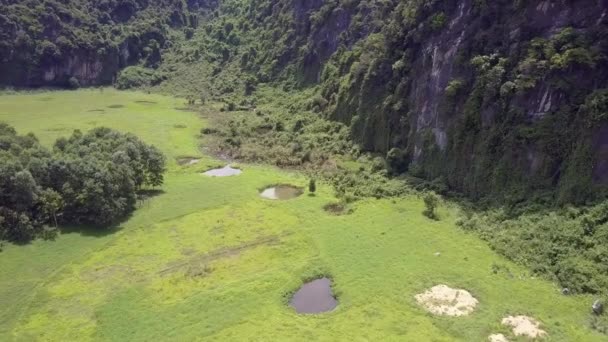 Moto aereo sopra palude tropicale con laghi e alberi — Video Stock