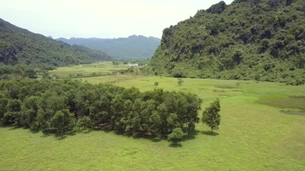 Velká louka se stromy proti vzdušném pohledu na hory — Stock video
