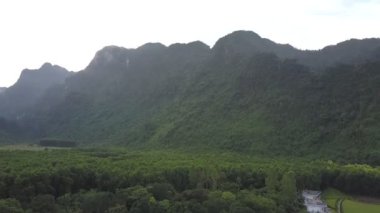 yeşil kalın tropikal orman ile kaplı dağ sırası