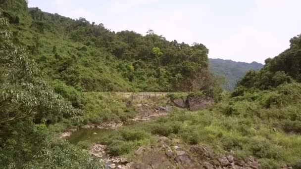 Μικρό στενό ορεινό ποτάμι καμπύλες ανάμεσα σε πράσινα πυκνά δέντρα — Αρχείο Βίντεο