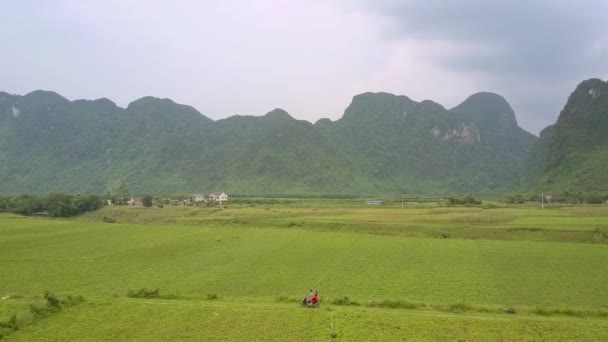 Hombre y mujer montar scooter a lo largo de campo de maní ilimitado — Vídeos de Stock