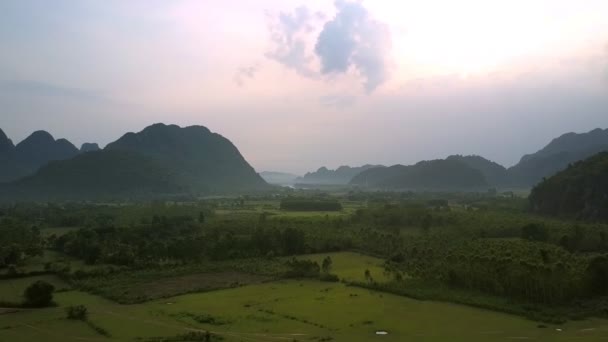 Campos verdes y bosques contra colinas en niebla vista de pájaro — Vídeo de stock