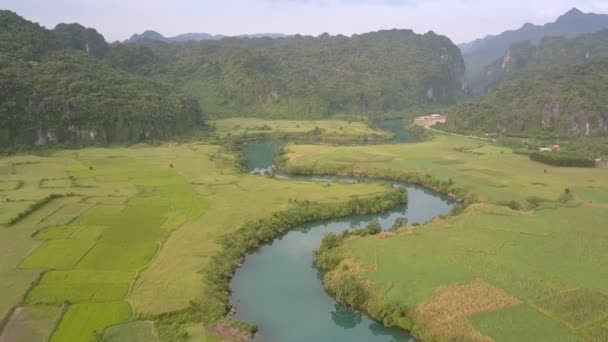 Blauer Fluss spiegelt grüne Bäume zwischen Erdnussfeldern wider — Stockvideo