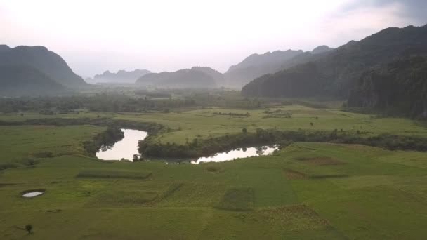 Wunderbarer ruhiger Fluss, der helle Sonne und grüne Bäume reflektiert — Stockvideo