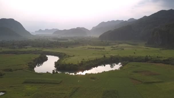Velké zelené pole blízko klidné řeky odrážející žluté sluneční paprsky — Stock video
