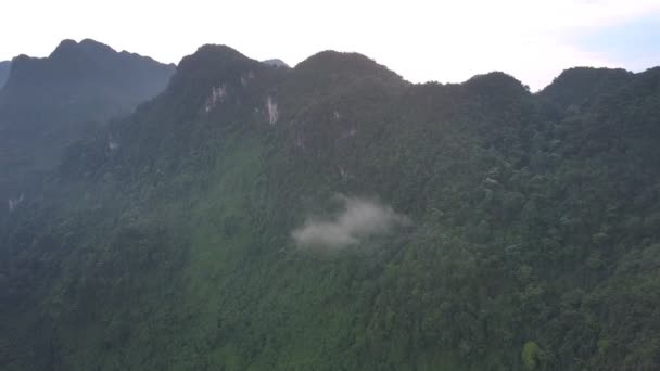 Kleines Stück Wolke klebt an Gipfel mit tropischem Wald — Stockvideo