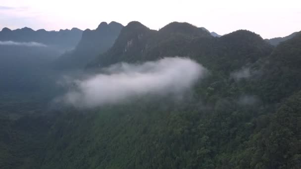 Trozos de nubes y bosques lluviosos verdes cubren la montaña — Vídeo de stock