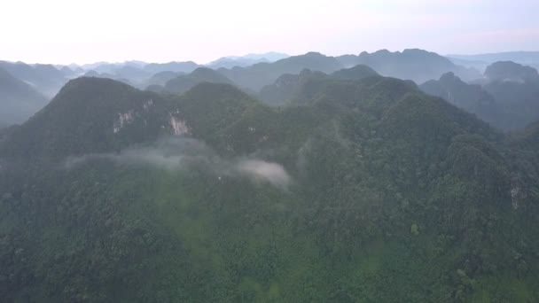 Niebla gruesa blanca se encuentra en las cimas de las montañas — Vídeo de stock