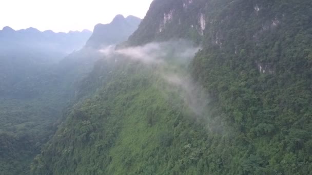 Trozo de nube atrapado en los árboles que crecen en la cima de alta montaña — Vídeos de Stock