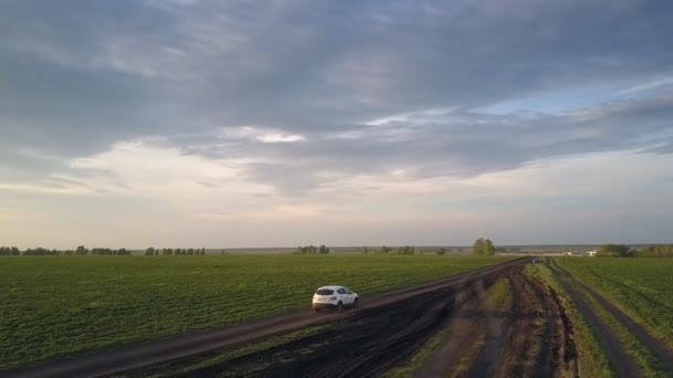 Auto beweegt langs smalle weg langs nauwkeurige groene velden — Stockvideo