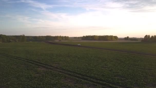 Carro branco dirige através de campos verdes contra a floresta espessa — Vídeo de Stock