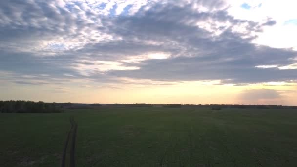 Безграничное зеленое поле под темными облаками шпинделя ВМС — стоковое видео