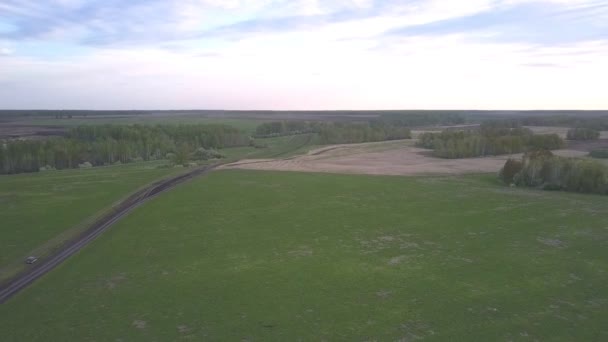 Weg langs groen veld veranderen in zandgrond tegen bos — Stockvideo