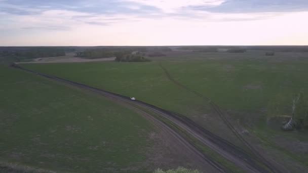 Witte auto tussen grenzeloze groene velden tegen bos — Stockvideo