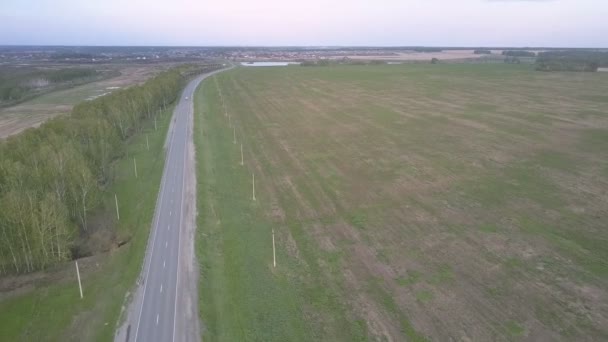 Fliegenkamera bewegt sich auf Autobahn zwischen Feld und Waldgürtel — Stockvideo