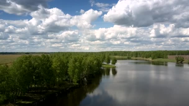 large rivière calme reflète les silhouettes des arbres verts vue supérieure 