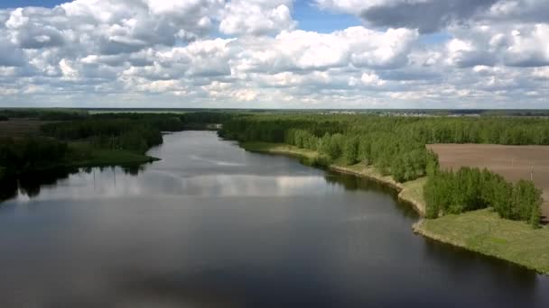 Río azul refleja siluetas de nubes blancas cerca del campo — Vídeo de stock