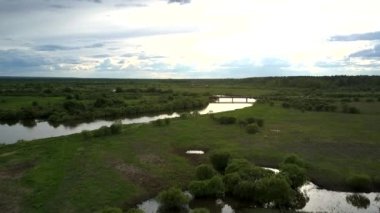 yeşil ağaçlar ve çayırlarda yağmurdan sonra nehir kollu sarma