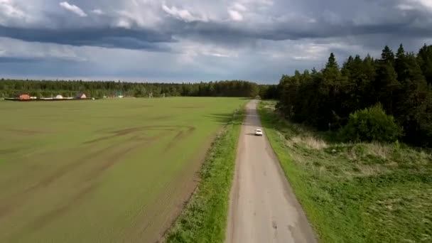 Coche moderno conduce a lo largo de camino gris cerca de bosque verde — Vídeo de stock