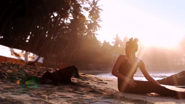 Senhora e cão preto sentar na praia de areia sob os raios de sol brilhantes — Vídeo de Stock