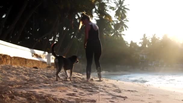Slim lady walks with playful dog on ocean sandy beach — Stock Video