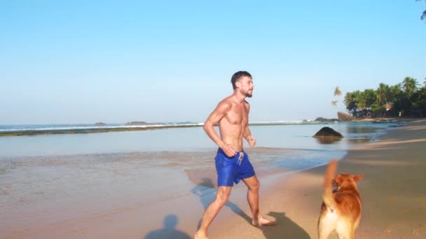 Olahragawan berjalan dengan anjing sepanjang pantai gerak lambat — Stok Video