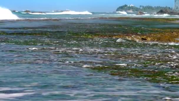 Ondas oceânicas rolam em recifes de coral com algas marinhas perto da costa — Vídeo de Stock