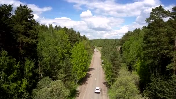 Vehicle drives on gray destructed road between green forests — Stock Video