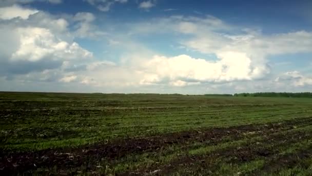 Door de lucht geploegd veld met droge plantenresten onder bewolkte lucht — Stockvideo