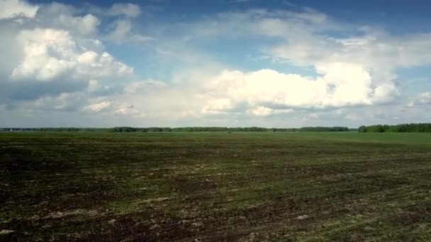 Luchtbeweging van geploegd naar groen veld onder bewolkte hemel — Stockvideo