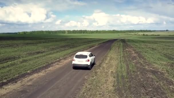 FlyCAM ακολουθεί το λευκό αυτοκίνητο οδήγηση κατά μήκος του δρόμου μεταξύ των πεδίων — Αρχείο Βίντεο