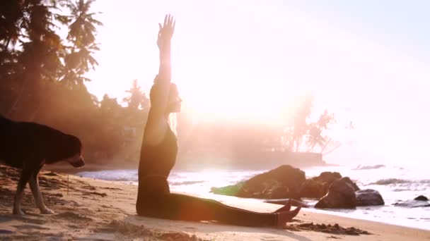 Pretty girl meditates on ocean sand beach and dog comes up — Stock Video