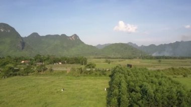 yeşil alanlar ve kalın bahçeler ile çevrili asfalt yol