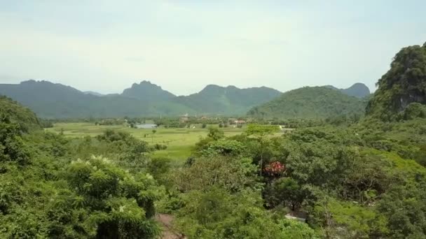 Montañas cubiertas de bosque tropical profundo vista de pájaro — Vídeos de Stock