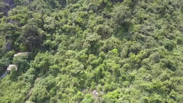 Montagna coperta di foresta e case sulla collina vista superiore — Video Stock