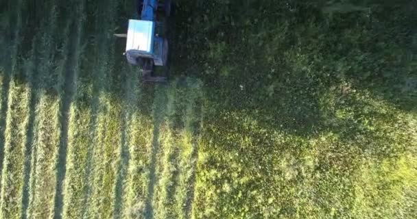 Механізм з лезом рухається уздовж поля, відрізаючи траву — стокове відео