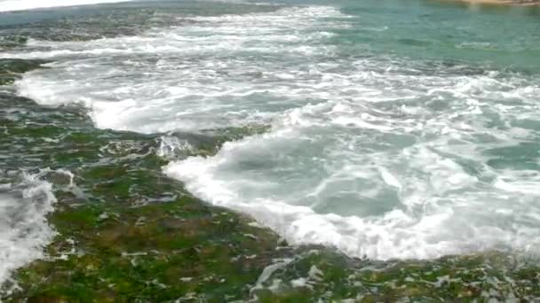 Vagues océaniques rugueuses coulent sur les récifs coralliens flous et les algues — Video