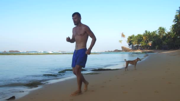 Athlète barbu musclé court et tourne près du chien lent — Video