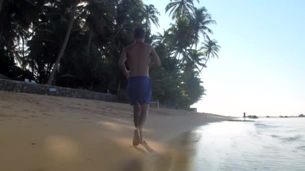 L'uomo emozionante corre vicino a palme verdi sotto il cielo blu — Video Stock