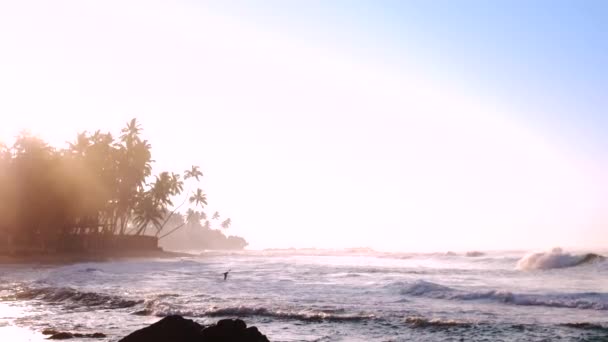 Ondas oceánicas espumosas pictóricas reflejan la luz solar brillante — Vídeo de stock