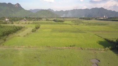 yeşil alanlar ile kaplı resimsel geniş vadi üzerinde hareket