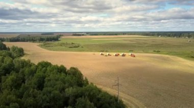 üst görüş hasat ve kamyonlar buğday tarlasında duruyor