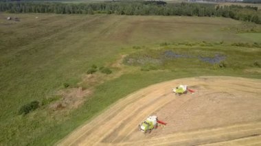 üst görünüm modern yeşil ve beyaz buğday toplamak birleştirir