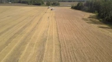 havadan görünümü modern buğday toplamak ve saman atmak birleştirir