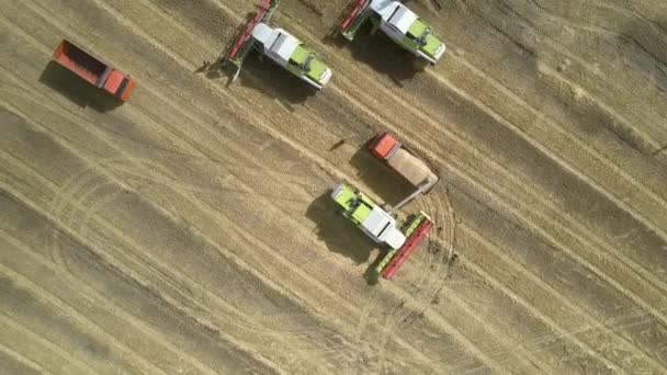 Vue aérienne verticale moissonneuses modernes et camions orange — Video