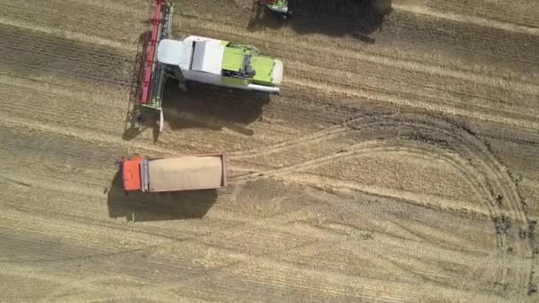 Bovenste verticale weergave oranje vrachtwagen geladen met tarwe aandrijvingen — Stockvideo