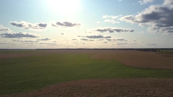 Olho de pássaro vista sol brilhante brilha sobre campo verde e marrom — Vídeo de Stock