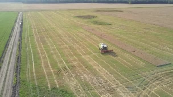 vue supérieure vert et blanc moissonneuse-batteuse sur champ vert 
