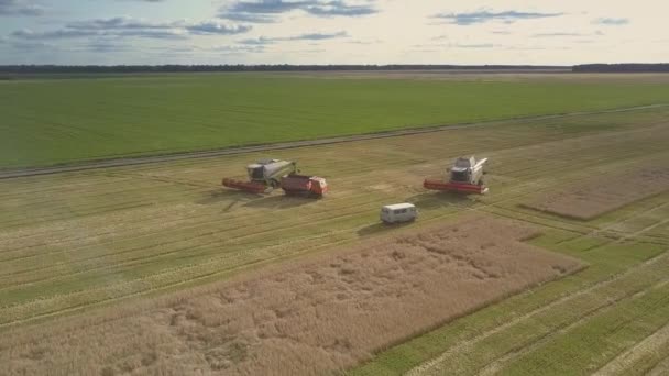 미니 밴과 트럭에 의해 현대 수확기에 가까운 모션 — 비디오