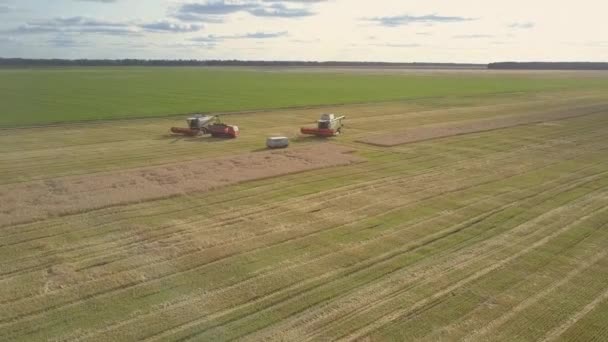 Bovenaanzicht oogstmachines truck en minivan staan op het veld — Stockvideo